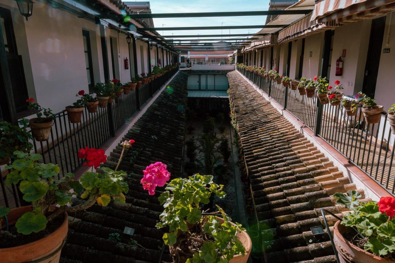 Apartamento Con Encanto En Patio Sevillano Ngoại thất bức ảnh